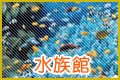 水族館