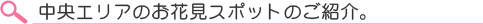 ������ꥢ�βָ����ݥå�